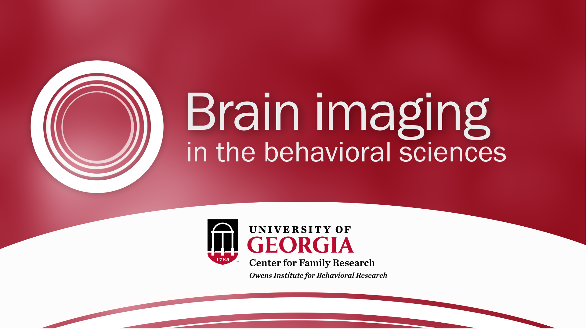Brain imaging in the behavioral sciences screenshot